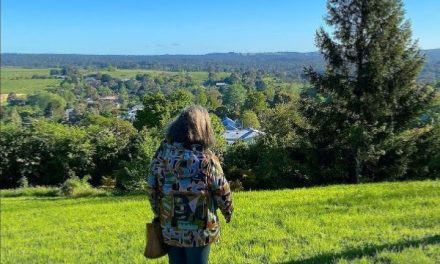 A New Seating Pavilion for Wombat Botanic Gardens