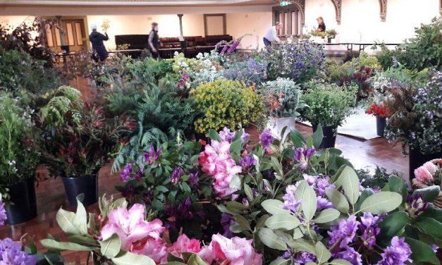 Town Hall Transformed into a Florist’s Shop