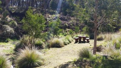 Friends of Cornish Hill Update