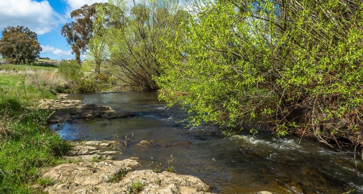 Council Approves Name Change to Local Creek