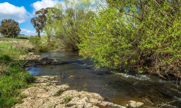 Special Council Meeting Hears from Community Residents about Creek Renaming