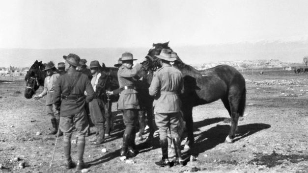 They Shot the Horses – Myth or Fact?