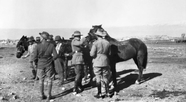 They Shot the Horses – Myth or Fact?