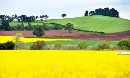 Biodiversity Grants Available