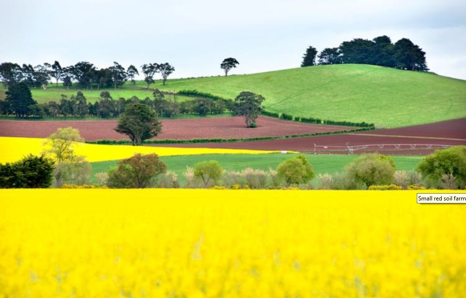 Biodiversity Grants Available
