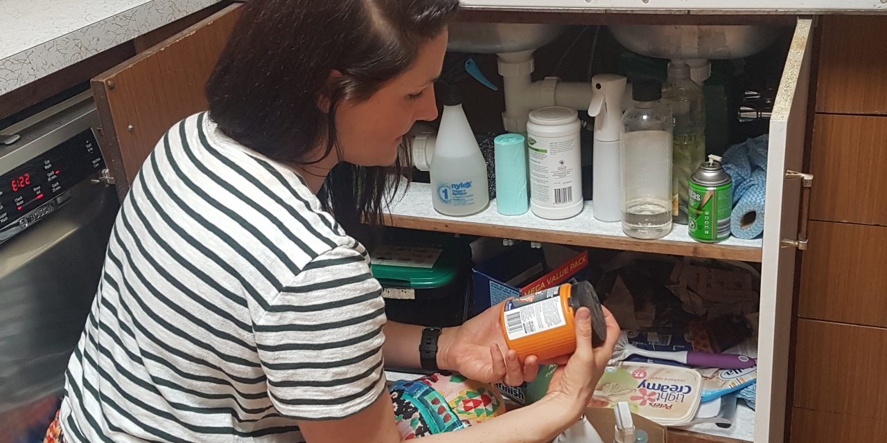 Safely Dispose of Your Household Chemicals