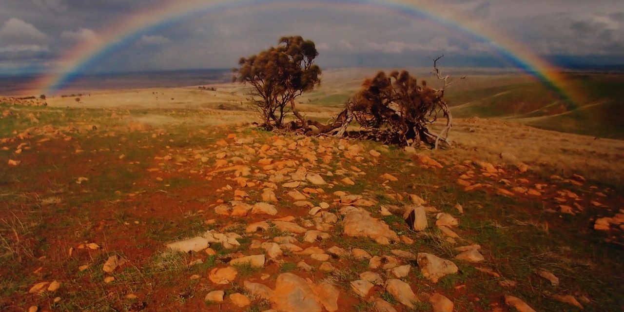 A Blot on the Landscape