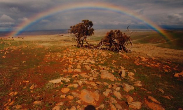 A Blot on the Landscape