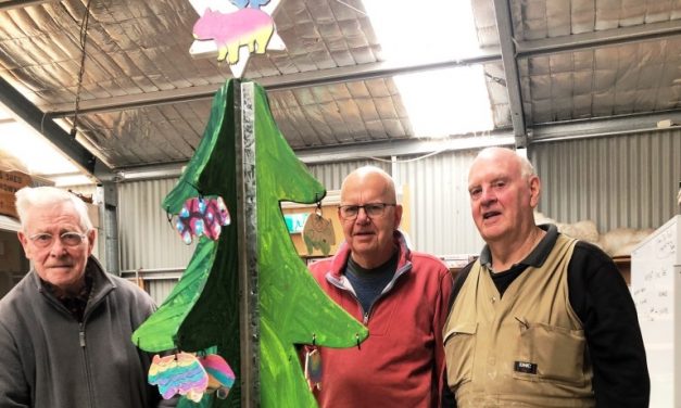 Wombats to Liven up Christmas