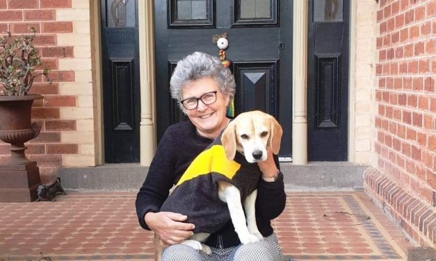 Councillor Column: Lesley Hewitt