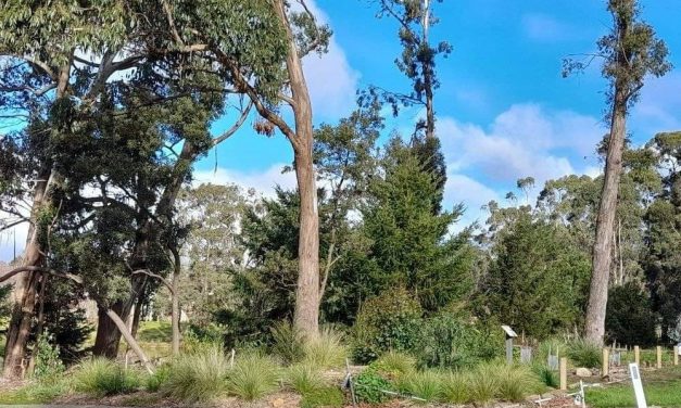 Biodiversity Grants Awarded