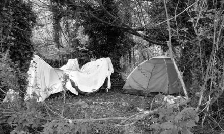 Small Steps to Assist the Homeless