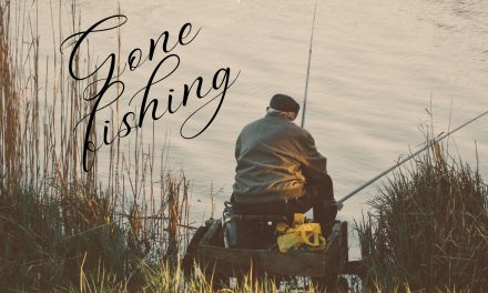Trout Released for Fishing in Lakes