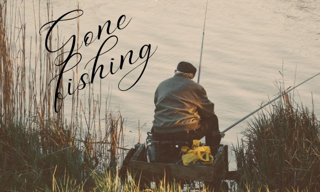 Trout Released for Fishing in Lakes