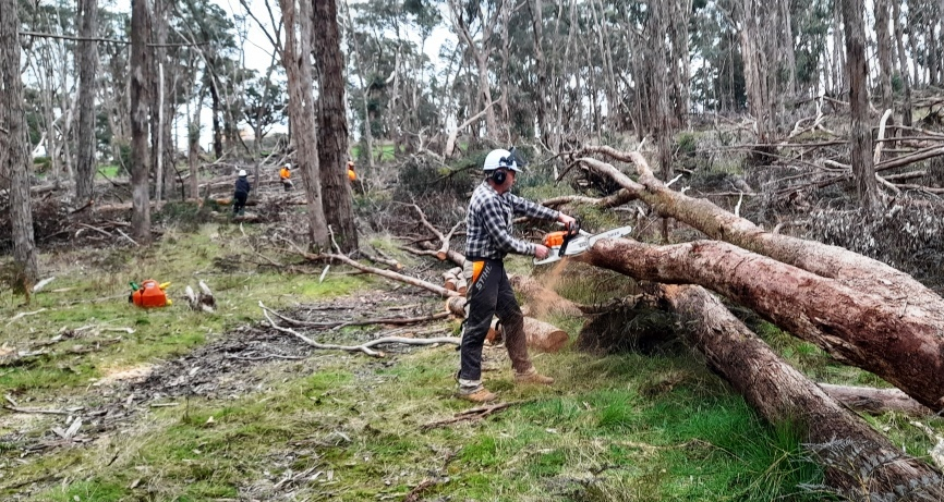 Chainsaw Courses for Locals Build Storm Resilience