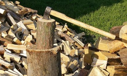 Firewood Collection Season is Open