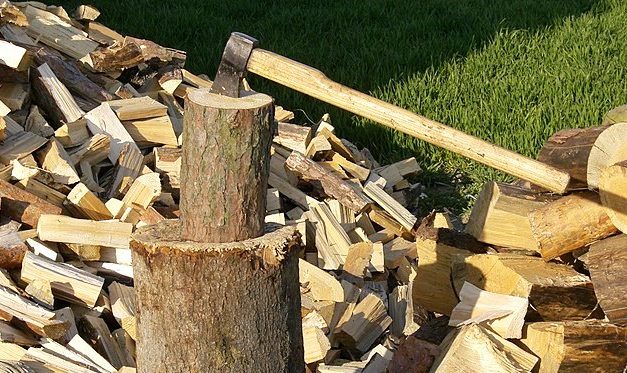 Firewood Collection Season is Open