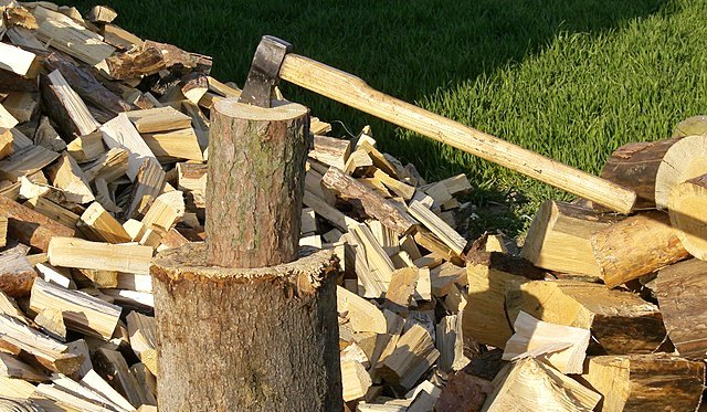 Firewood Collection Season is Open
