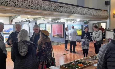 Rotary Art Show Winners