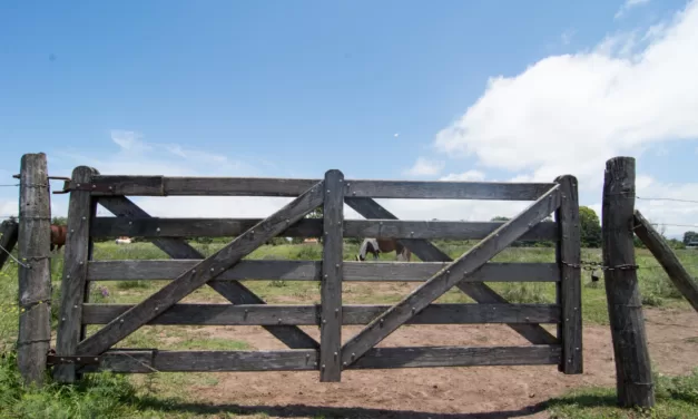 Gates