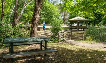 Contribute to the Glenlyon Reserve Masterplan