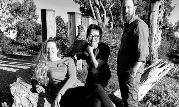 Chirst Church Concert Series – Saltbush