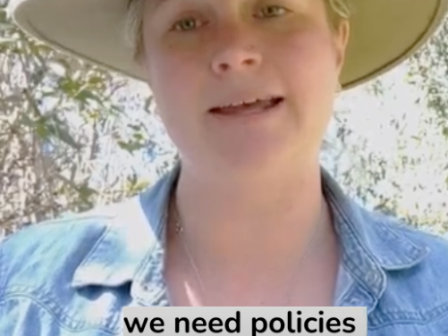 Farmers Call for Fair Payment for Transmission Lines on Their Land