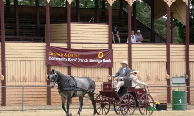 Kingston Show this Weekend