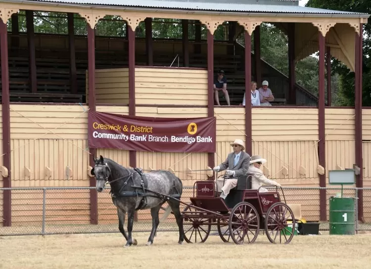 Kingston Show this Weekend