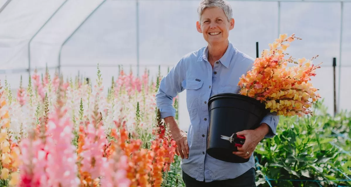 Online Collective for Growers and Producers