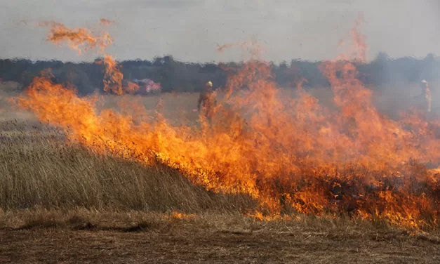 Get Busy on Fire Preparations