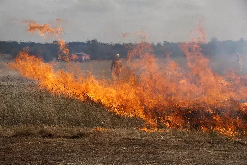 High Risk of Grass Fires