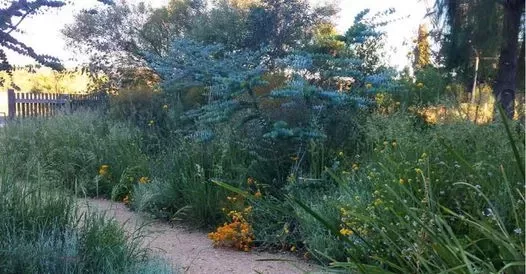Wildlife Gardening