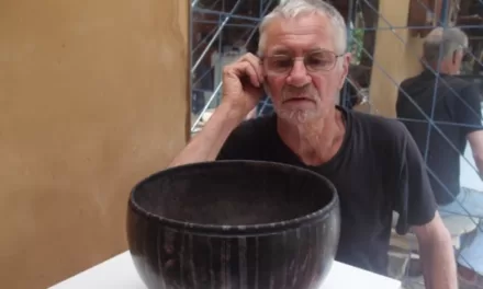 A Celebration of a Quarter of a Century of Local Columns by Petrus Spronk