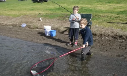 Local Waterways Stocked with Trout for School Holiday Adventure