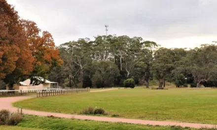 Delays to Glenlyon Recreation Reserve Construction