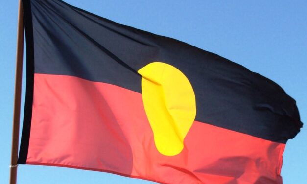 Council Votes to Support an Indigenous Voice to Parliament