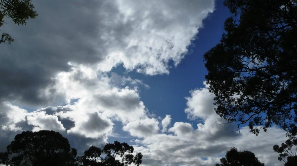 Early Spring? Or the Usual Mixed Weather? And Watch Out for Atmospheric Rivers!