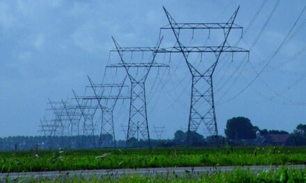 Stop AusNet Campaign Loses in Supreme Court