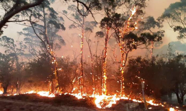 Seasonal Bushfire Outlook for Spring 2023
