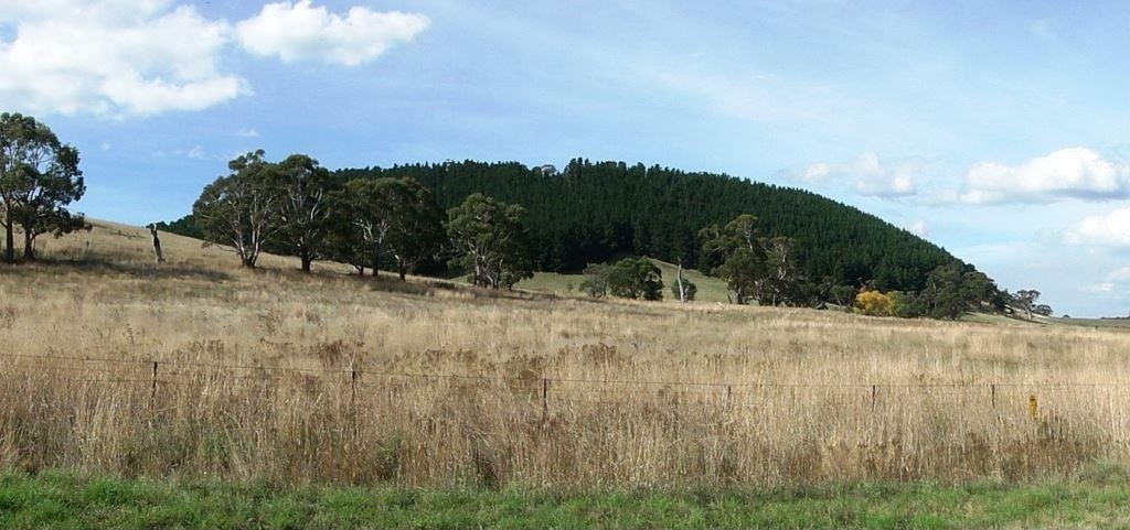 Lalgambuk (Mt Franklin) Transformed