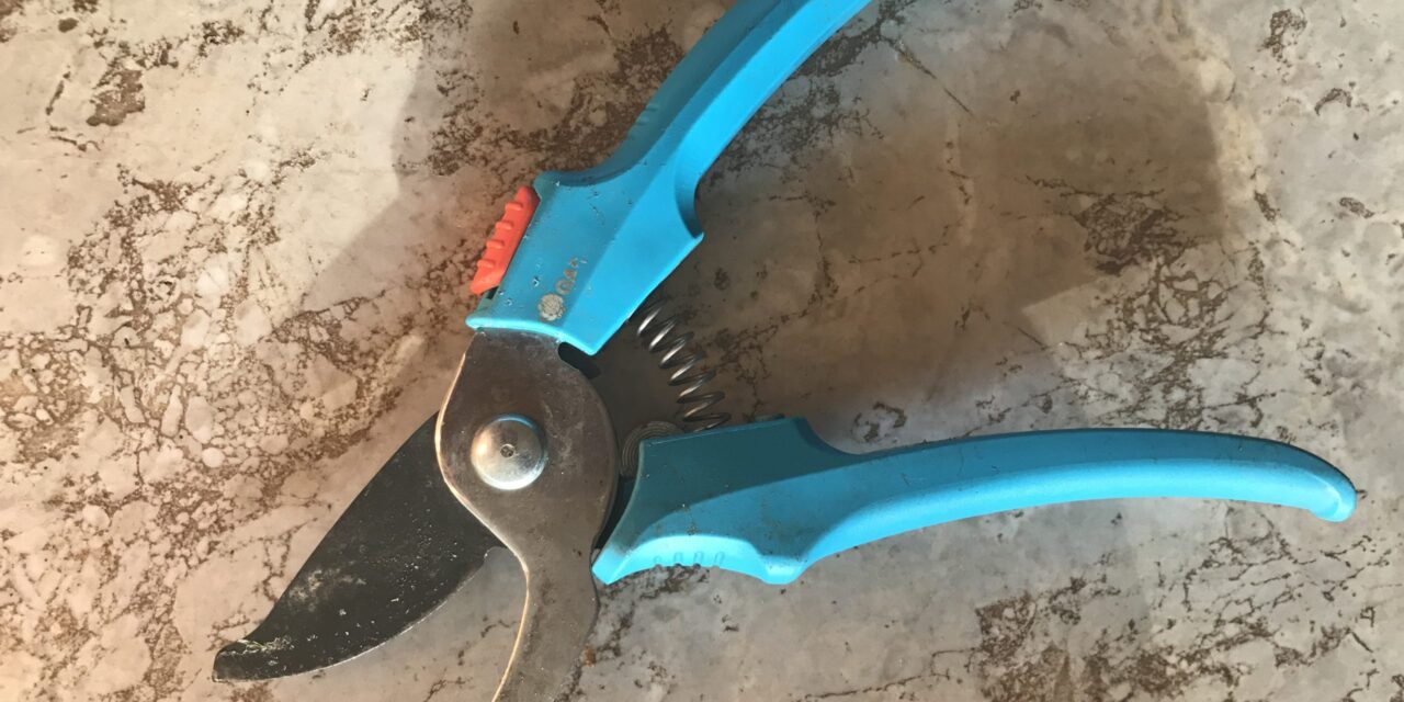 Hand-tool Maintenance and Sharpening Workshop at Daylesford’s Repair Café