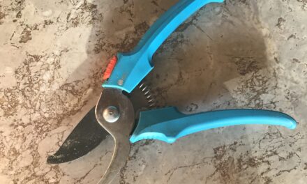 Daylesford Repair Café