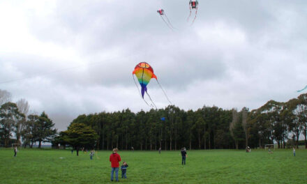 Dean Kite Festival – A Father’s Day Event