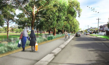 Council to Develop Transport Strategy