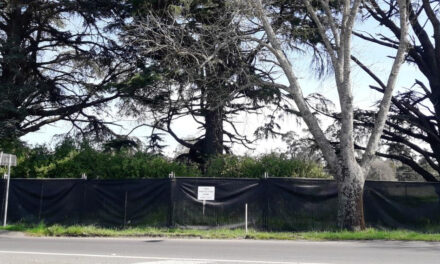 Minister Fast Tracks Raglan Street Development