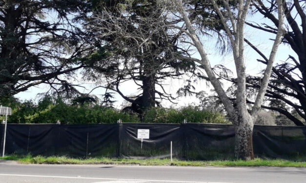 Minister Fast Tracks Raglan Street Development
