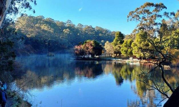 Warmer, Drier Weather Forecast to Continue