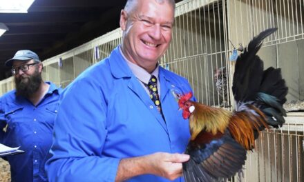 Daylesford Show a Huge Success