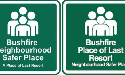 Where Do I Go if I’m Caught in a Bushfire?